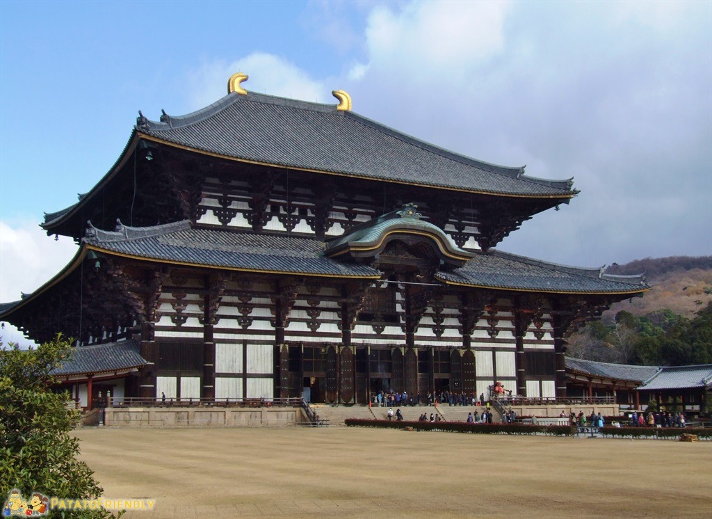Viaggio In Giappone Nara Tra Templi E Cervi Patatofriendly