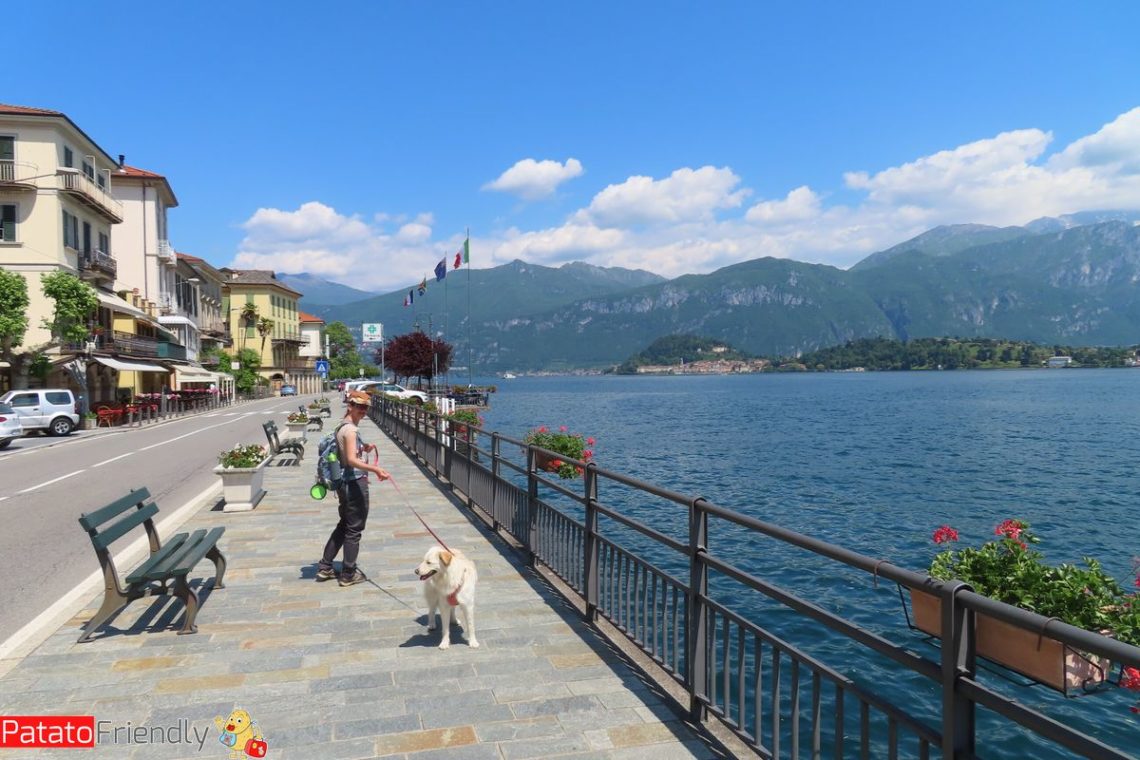 Vacanze e weekend con il cane in Italia mete TOP Patatofriendly